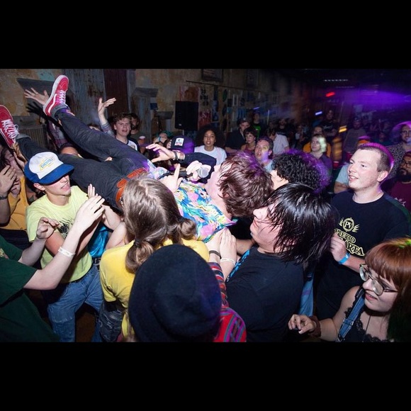 Meet your Posher, Jimi - Picture 4 of 8